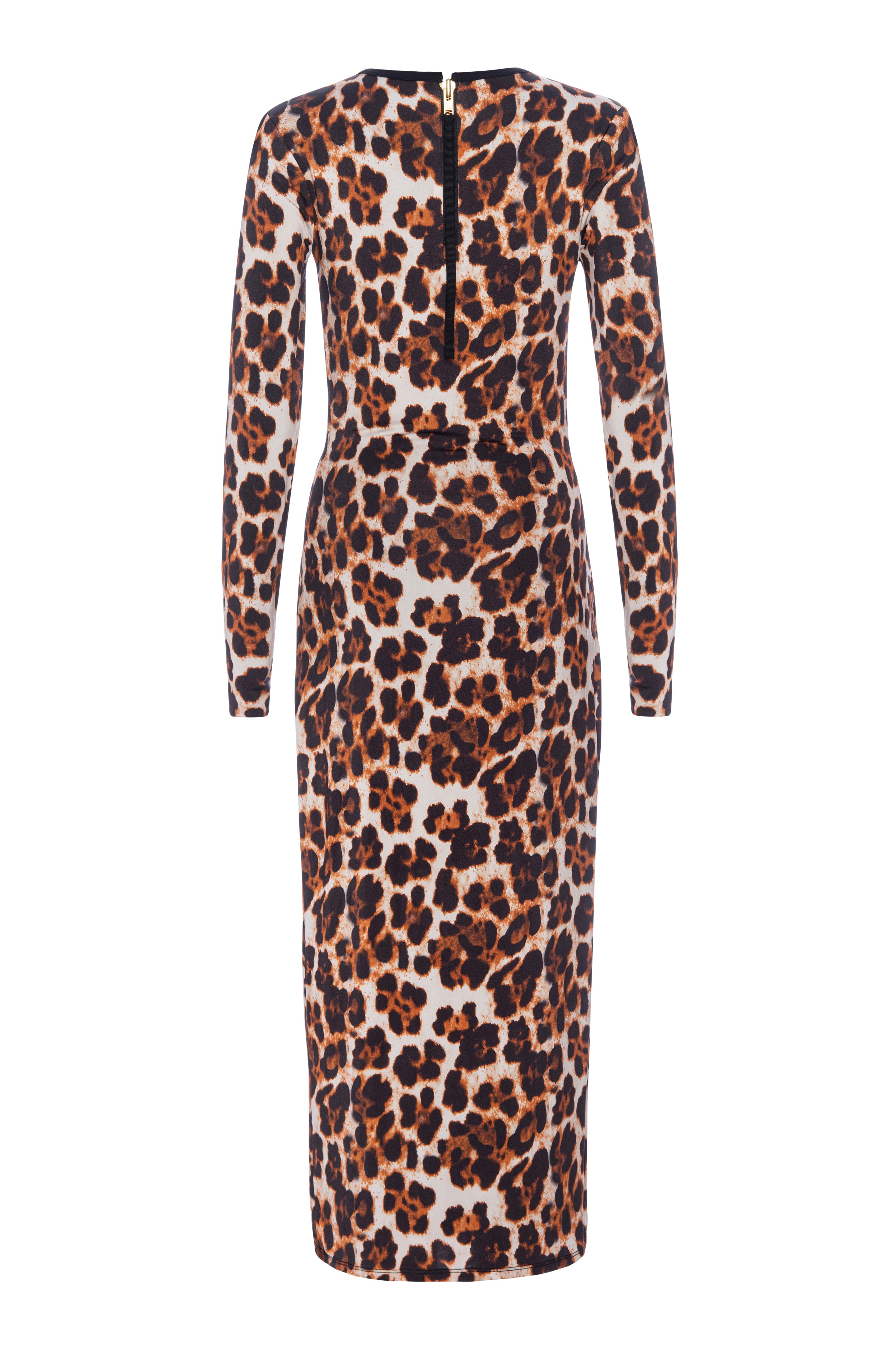 Panthera Extra Kate