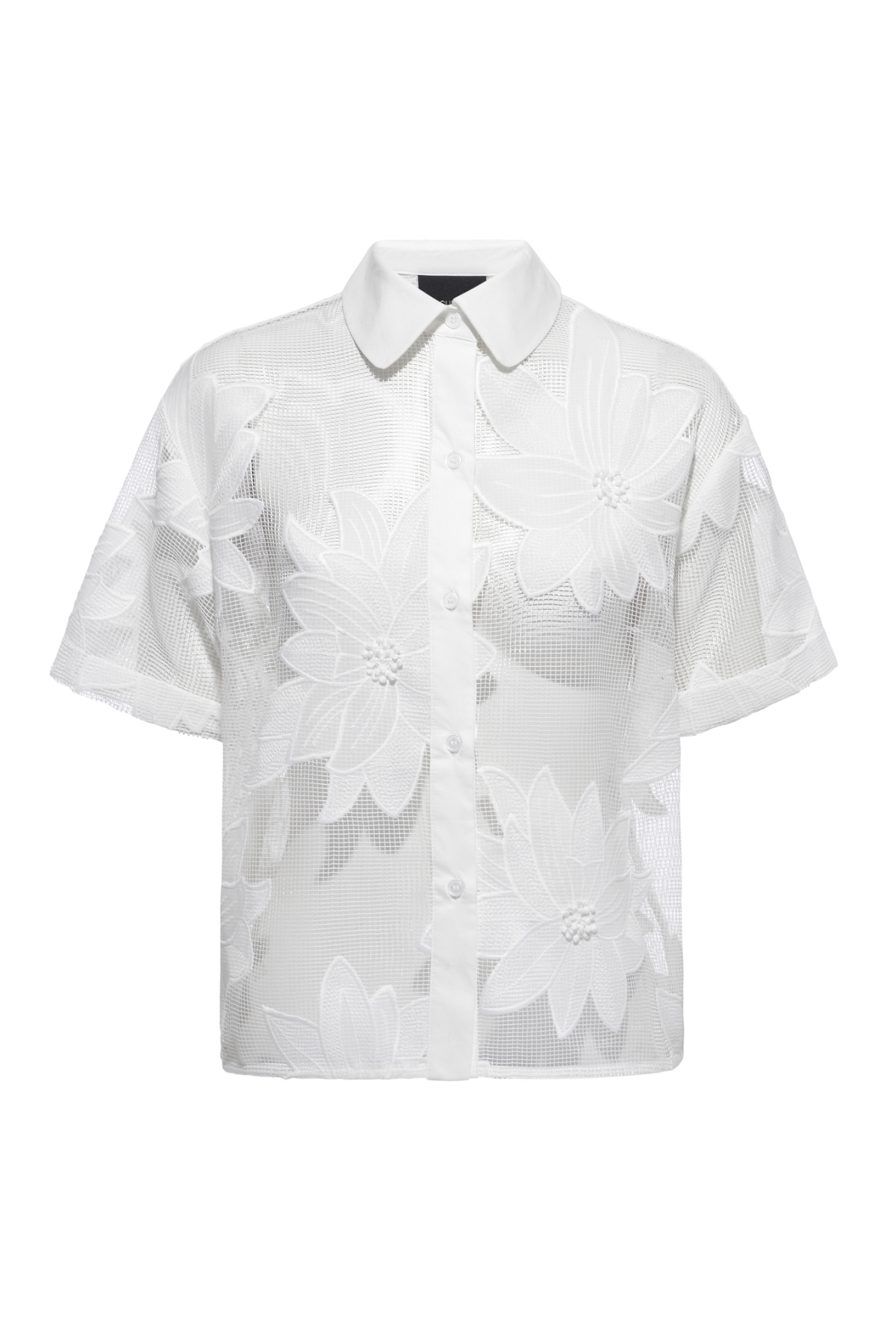 Enlightened Camp Shirt