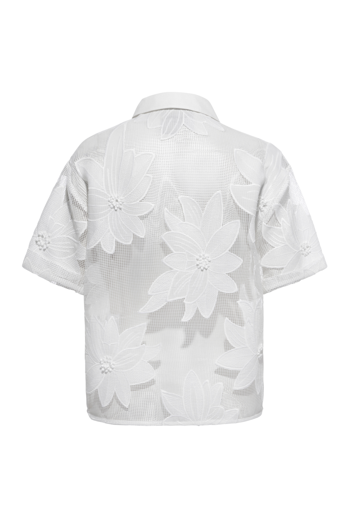 Enlightened Camp Shirt