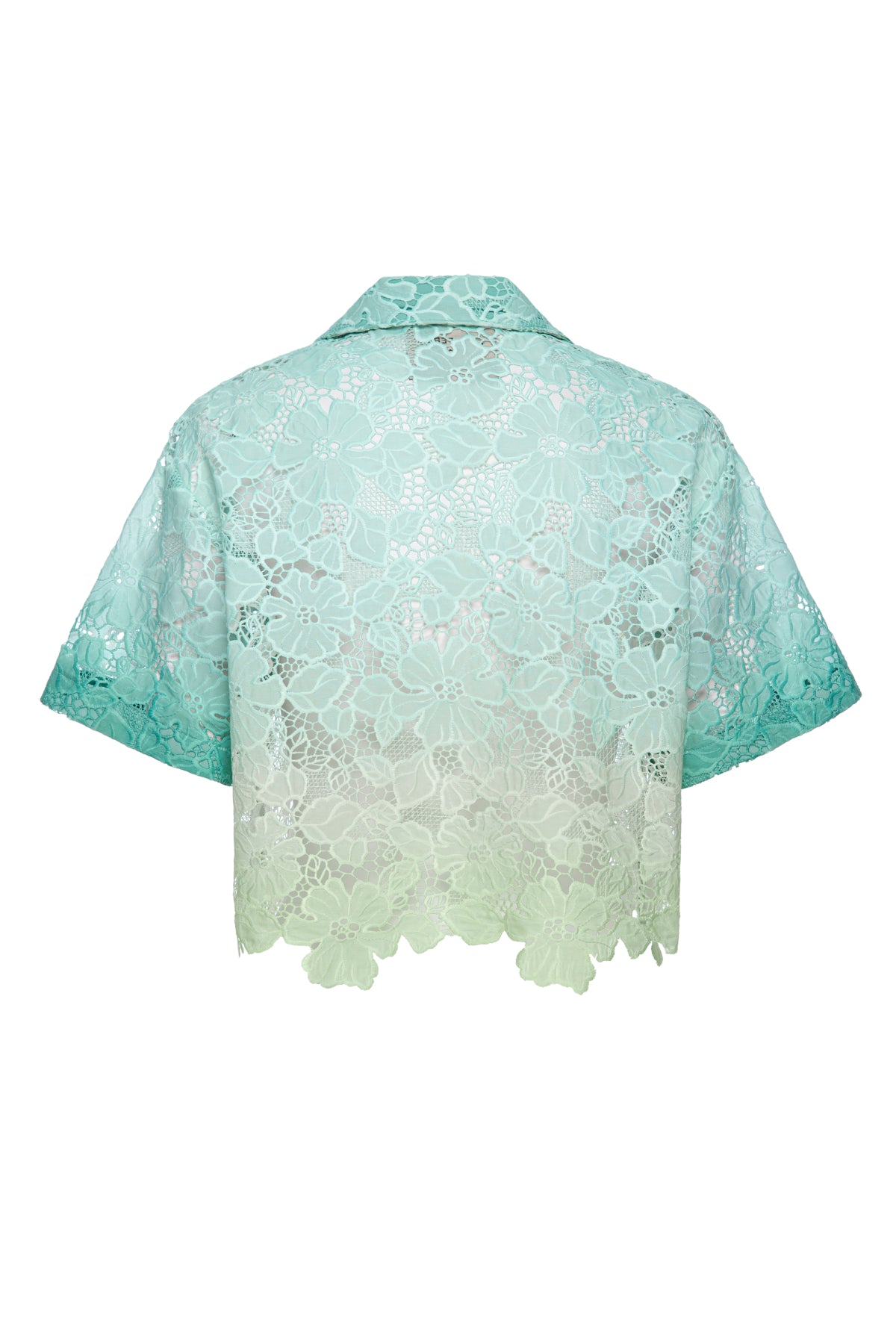 Karma Camellia Top in Ombre