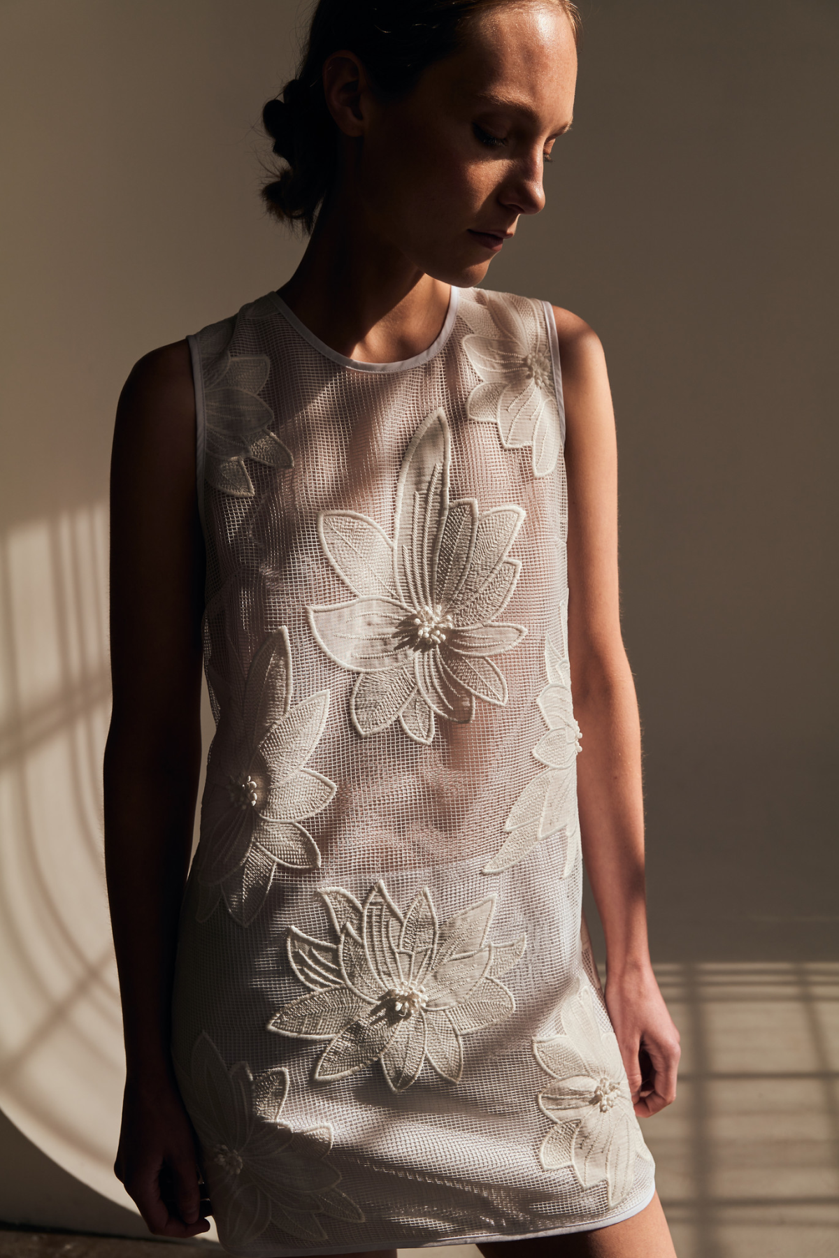 Enlightened Shifter Dress