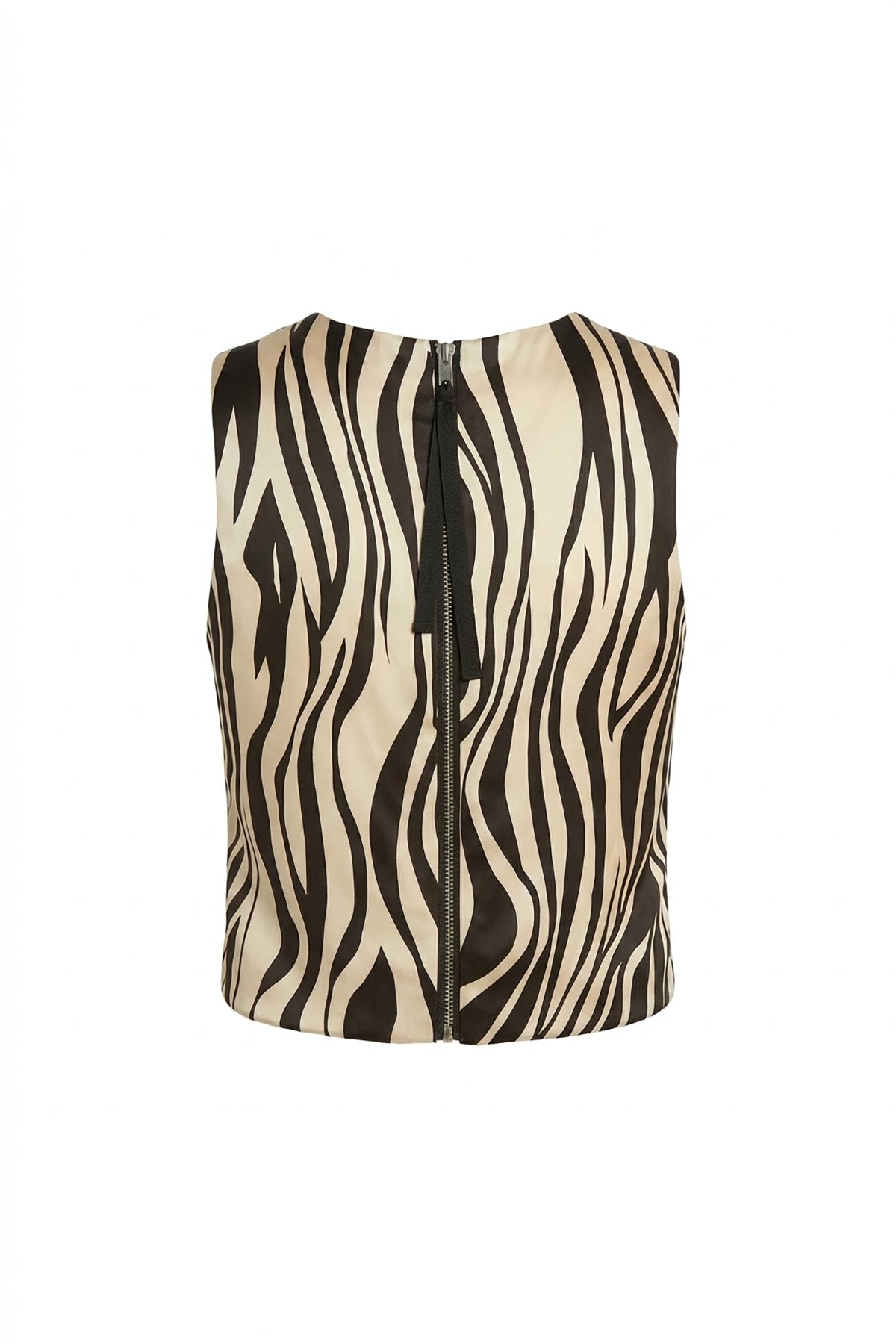 Hidden Tiger Shell Tank