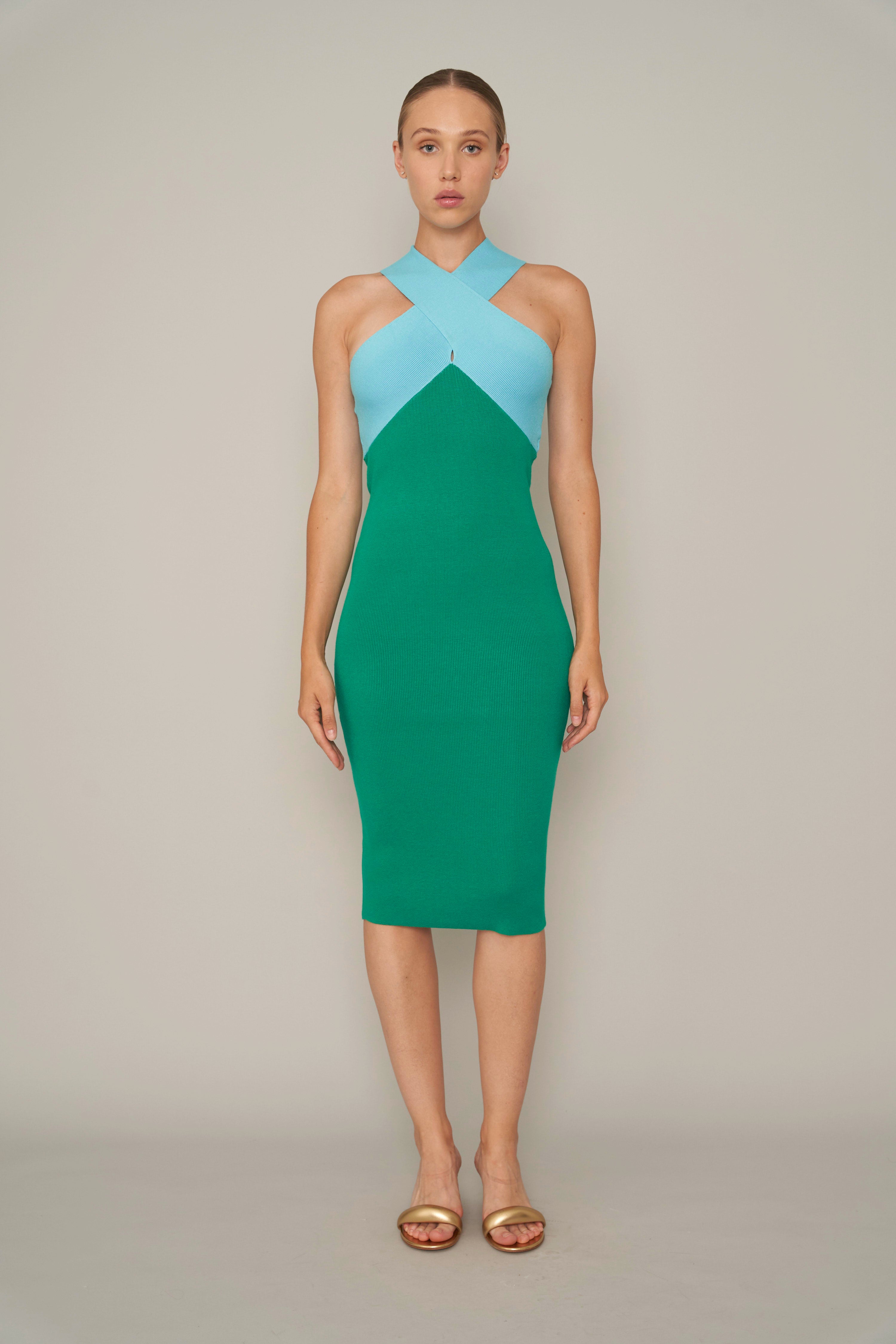 Dragon Fruit Dress