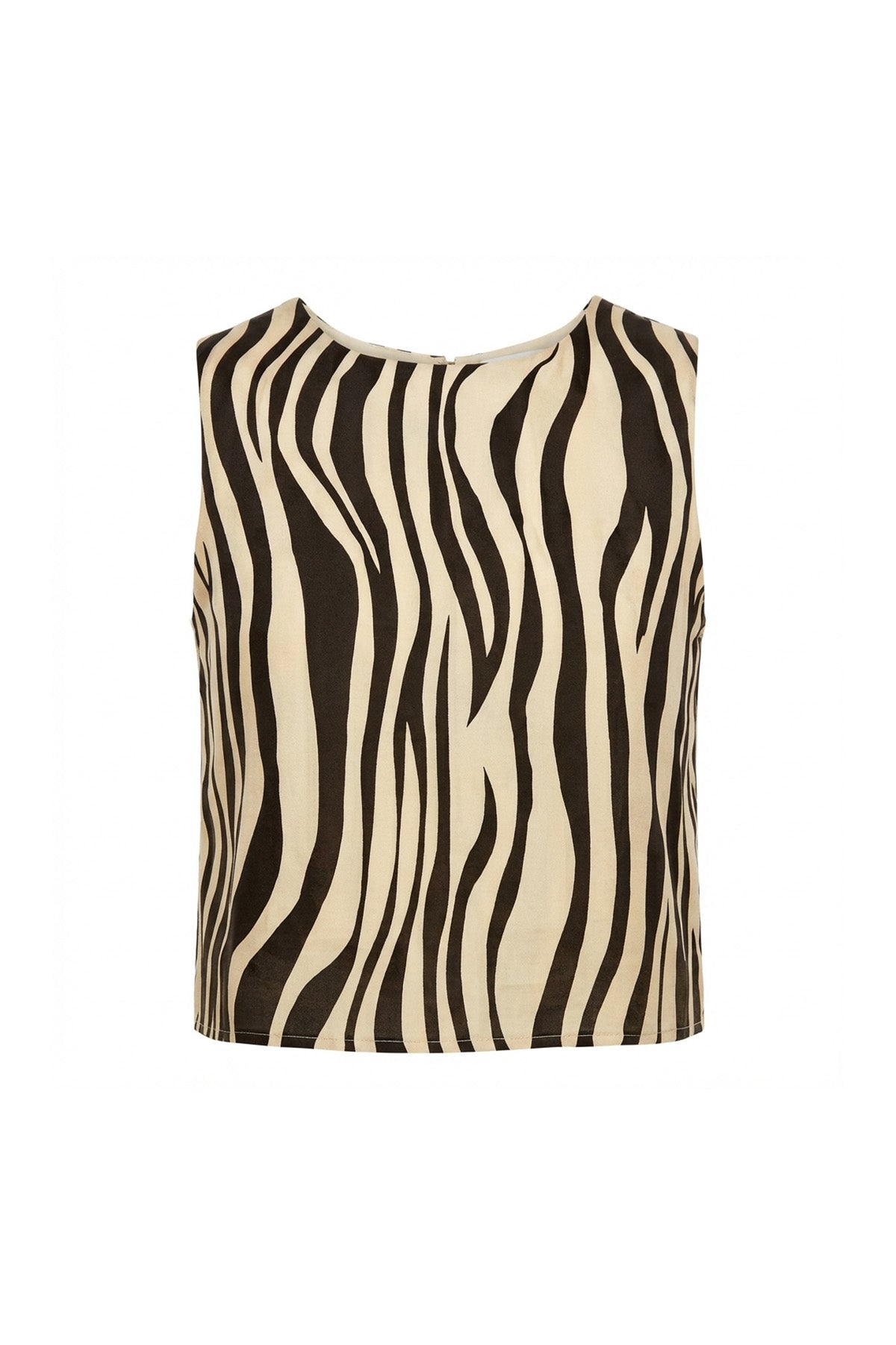 Hidden Tiger Shell Tank